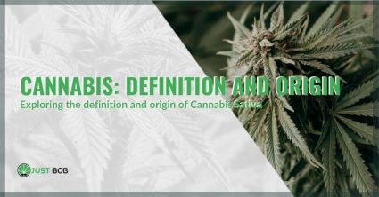 Exploring the definition and origin of Cannabis Sativa!