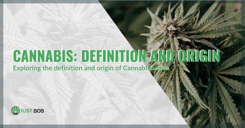 Cannabis : définition et origine