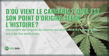 D’où vient le cannabis ?