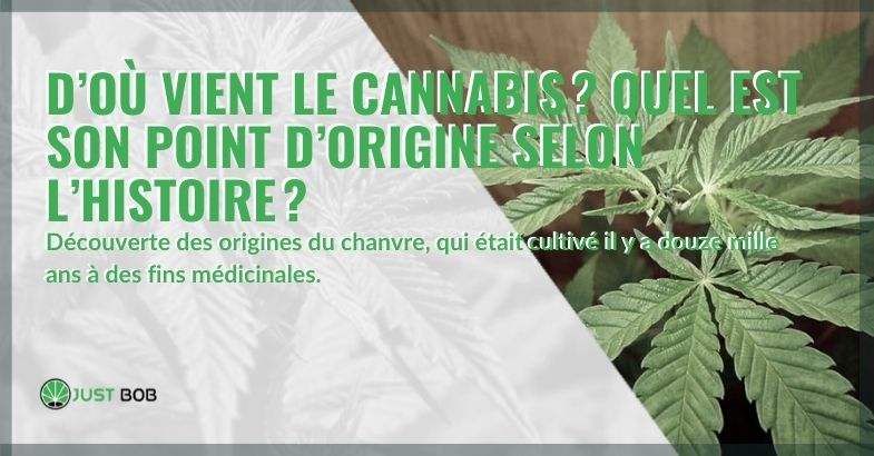 D’où vient le cannabis ?