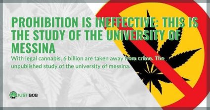 Prohibition is ineffective: this is the study of the University of Messina