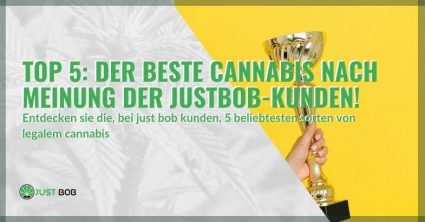 Top 5: Der beste Cannabis nach Meinung der Justbob