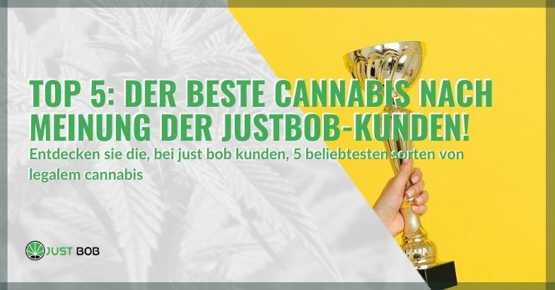 Top 5: Der beste Cannabis nach Meinung der Justbob