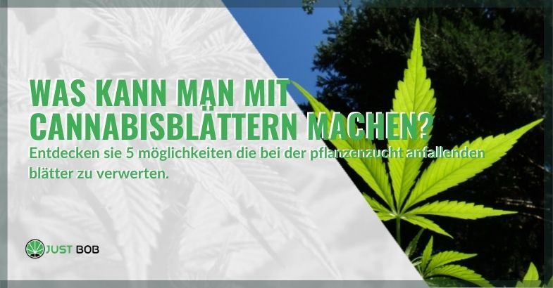 Was kann man mit Cannabisblättern machen?