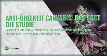 Anti-Übelkeit Cannabis: Das sagt die Studie