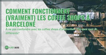 Comment fonctionnent les coffee shops à Barcelone