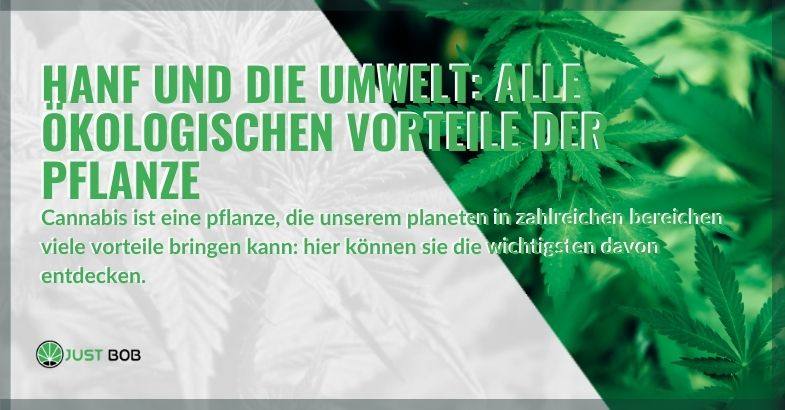 Hanf und die Umwelt