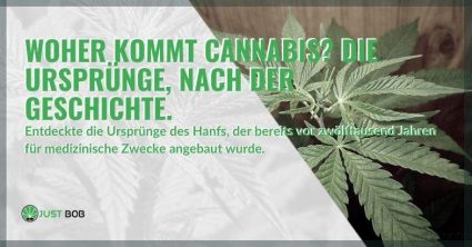 Woher kommt Cannabis? Die Ursprünge, nach der Geschichte