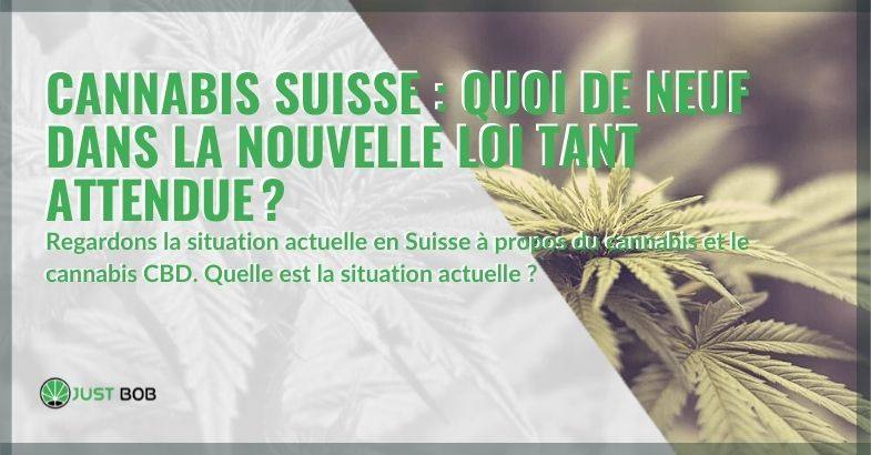 Cannabis Suisse: quoi de neuf dans la nouvelle loi tant attendue?