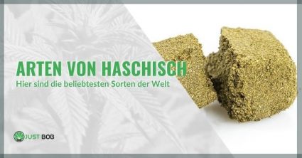 Arten von Haschisch: Hier sind die beliebtesten Sorten der Welt