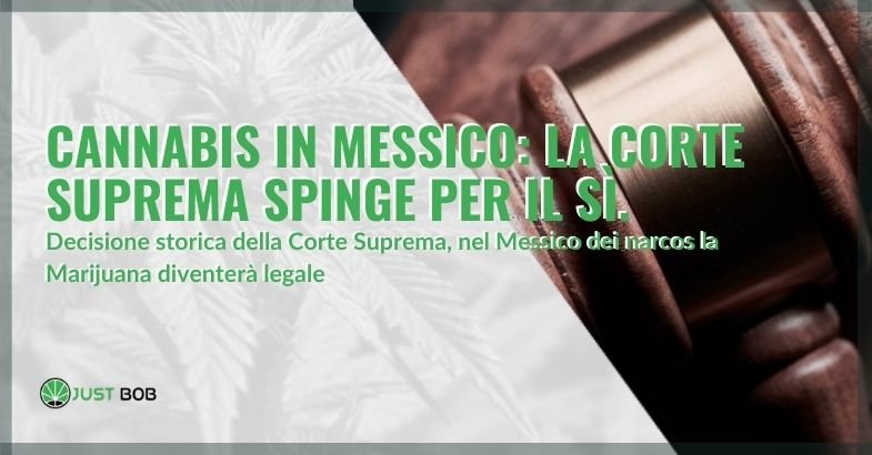 Cannabis in Messico: la Corte Suprema spinge per il sì