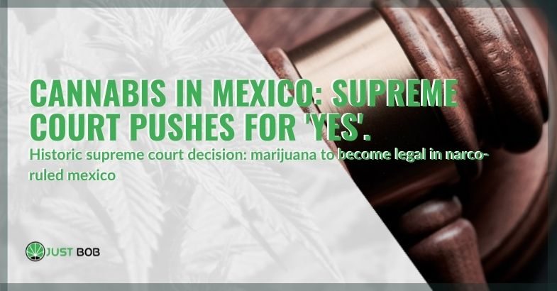 Cannabis in Mexico: Supreme Court pushes for ‘yes’