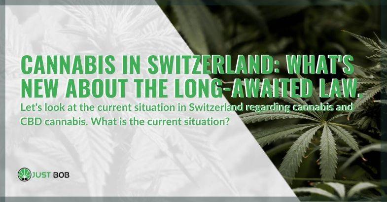 Cannabis in Switzerland: what’s new about the long-awaited law