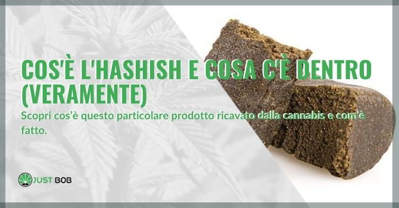 Cos’è l’hashish e cosa c’è dentro (veramente)