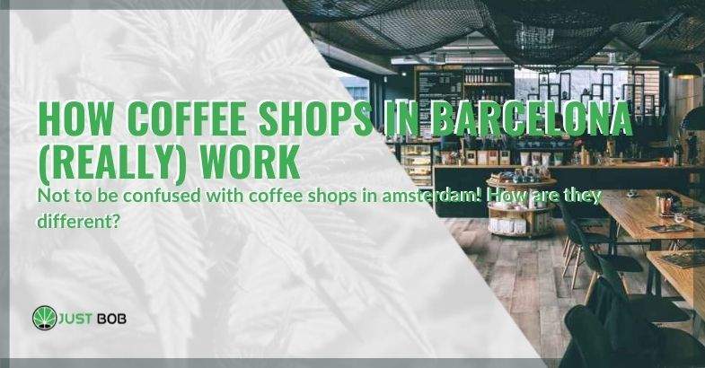 How coffee shops in Barcelona (really) work