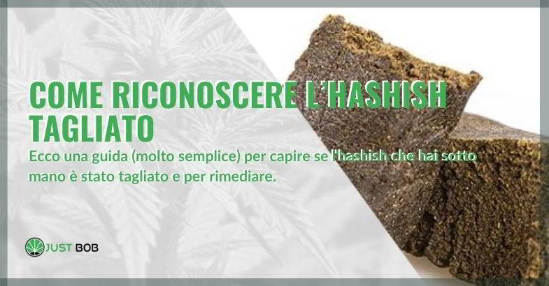 Come riconoscere l’hashish tagliato con un metodo infallibile