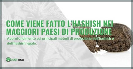 Come viene fatto l’hashish nei maggiori paesi di produzione