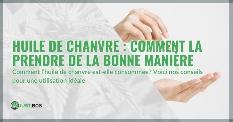 Huile de chanvre : comment la prendre de la bonne manière