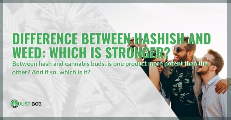 Difference between hashish and weed: which is stronger?