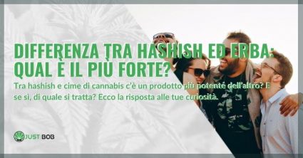 Differenza tra hashish ed erba: qual è il più forte?