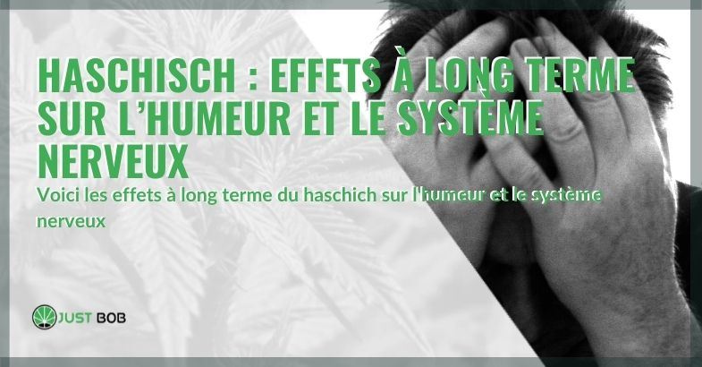 Haschisch : effets à long terme