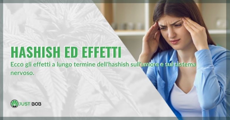 Hashish: effetti a lungo termine sull’umore e sul sistema nervoso
