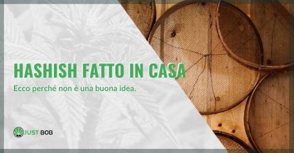 Hashish fatto in casa: ecco perché non è una buona idea