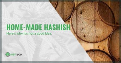 Home-made hashish: here’s why it’s not a good idea