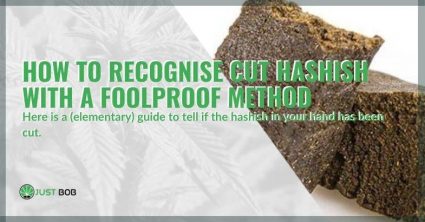 How to recognise cut hashish with a foolproof method