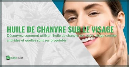 Huile de chanvre biologique : propriétés