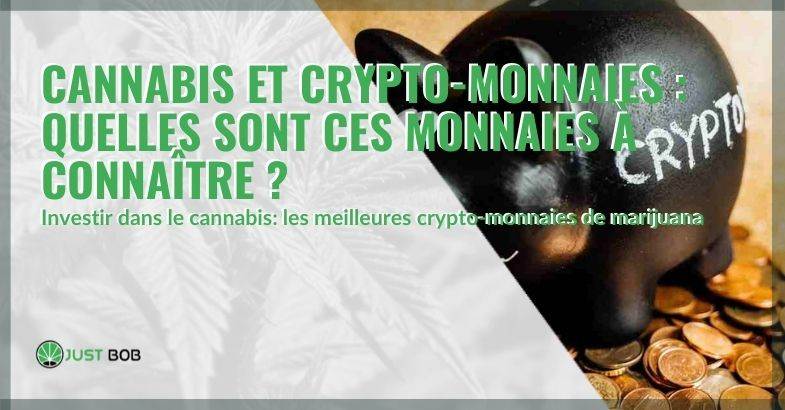Cannabis et crypto-monnaies: quelles sont ces monnaies à connaître?