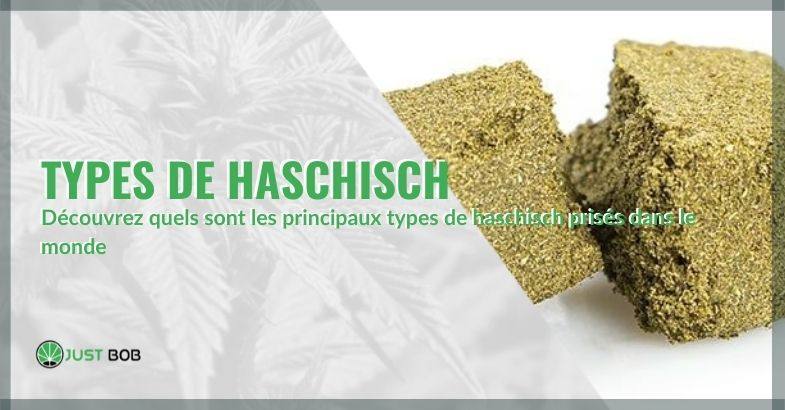 Types de haschisch : variétés les plus répandues au monde