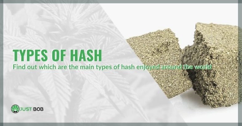 Types of hash: here are the most famous varieties of the world