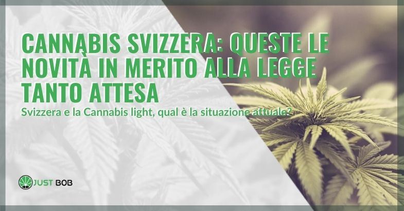 Cannabis Svizzera: queste le novità