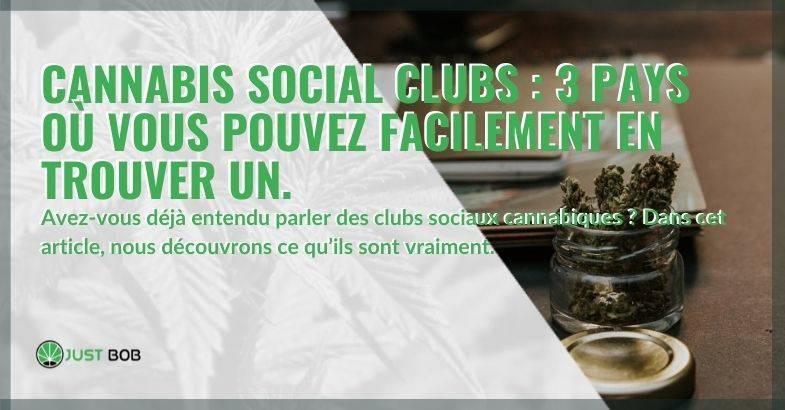 Cannabis social clubs: 3 pays