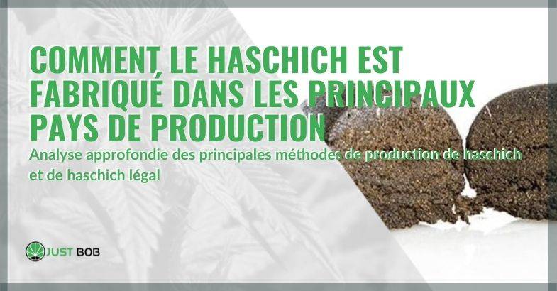 Comment le haschich est fabriqué dans les principaux pays de production