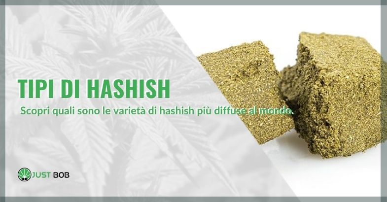 Tipi di hashish: ecco le varietà più diffuse al mondo