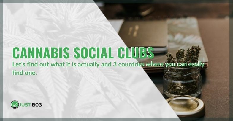 Cannabis social clubs: 3 countries where you can easily find one
