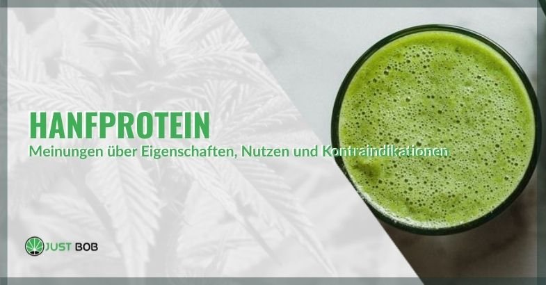 Hanfprotein: Meinungen über Eigenschaften, Nutzen und Kontraindikationen