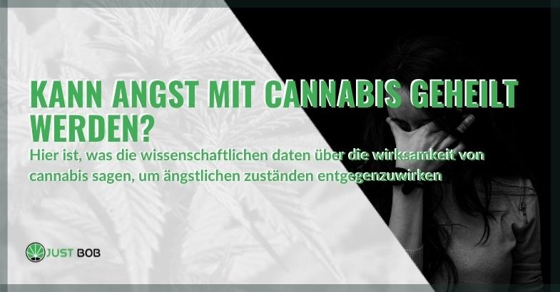 Kann Angst mit Cannabis geheilt werden?