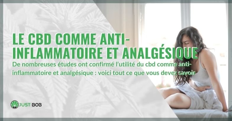 Le CBD comme anti-inflammatoire et analgésique