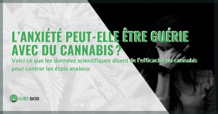 L’anxiété peut-elle être guérie avec du cannabis?