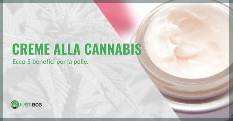 Creme alla cannabis: ecco 5 benefici