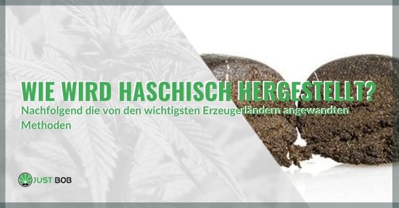 Wie Haschisch in den wichtigsten Produktionsländern hergestellt wird