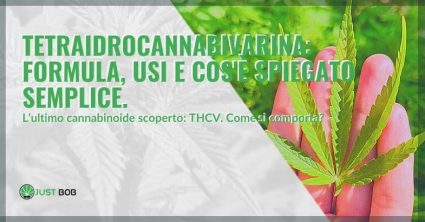 Tetraidrocannabivarina: formula, usi e cos’è spiegato semplice