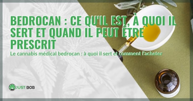 Bedrocan: ce qu’il est