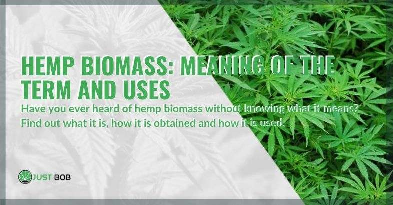 Hemp biomass: meaning of the term and uses
