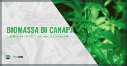 Biomassa di canapa: significato del termine e usi