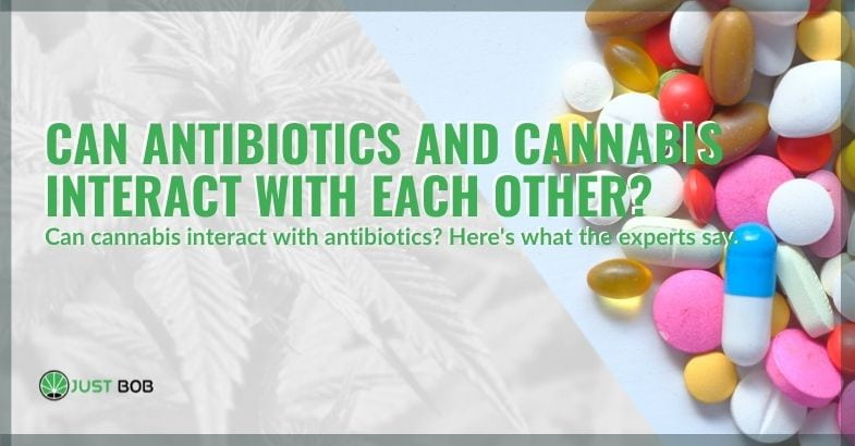 Can antibiotics and cannabis interact with each other?