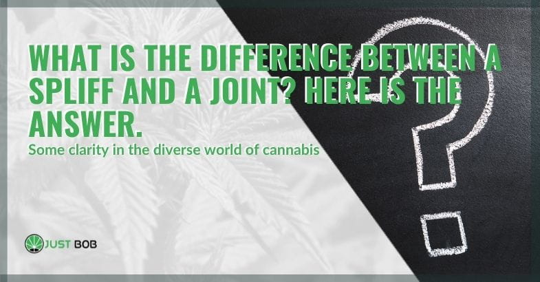 What is the difference between a spliff and a joint?
